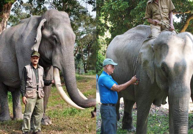 ‘एलिफैंट डॉक्टर’: हाथियों को बचाने अपनी पूरी जिंदगी लगा दी, तीन दशक से छुट्टी नहीं ली